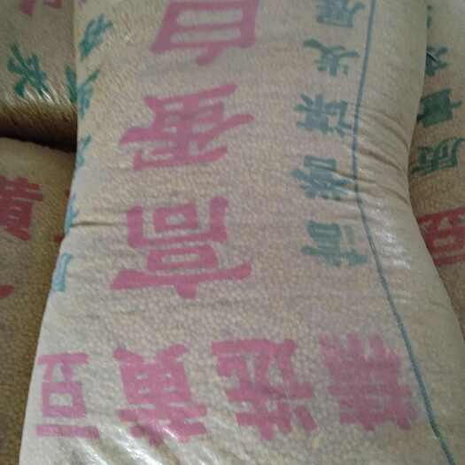 高青县美国大豆