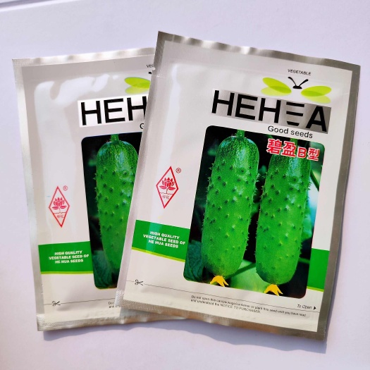 沭阳县荷花唐山秋瓜碧盈B型黄瓜种子籽孑水果味春秋季抗病高产原装