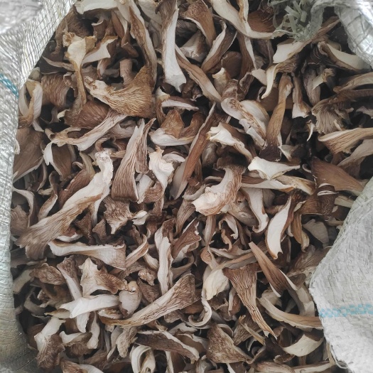 邯郸平菇