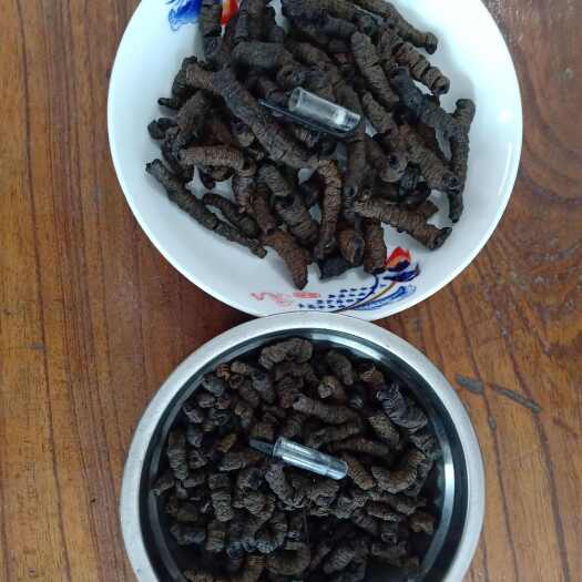 德庆县巴戟肉，大肉，中肉，老身肉（10年大中小），3种品种，