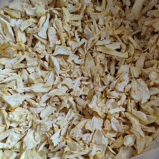 杏鲍菇拫片，大片中小片