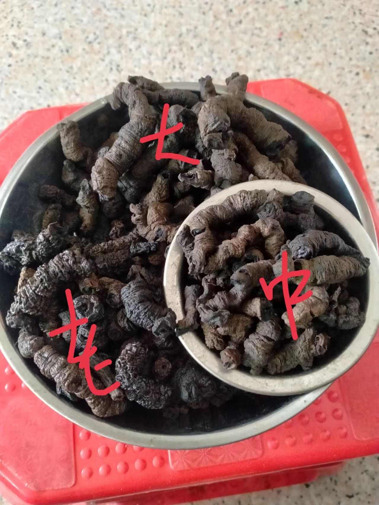 巴戟肉，大肉，中肉，老身肉（10年大中小），3种品种，
