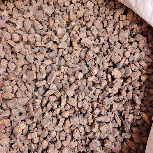 续断 干货 川续断 选货