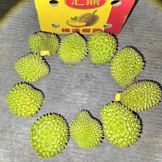 南宁干尧巴掌