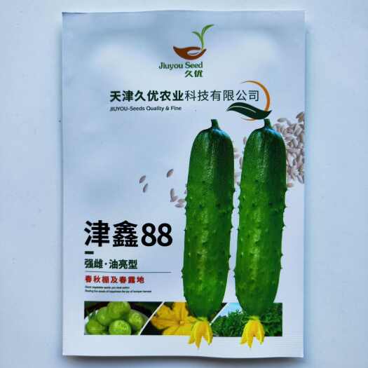 沭阳县久优津鑫88旱黄瓜种子强雌油亮型短把大刺瘤黄瓜抗病强大田用种