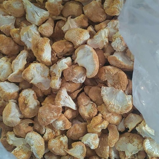 猴头菇块猴头菇角菇汤包出口量大优惠