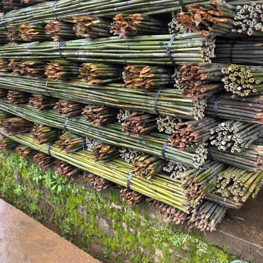 竹竿   2.5米至3米 菜架竹，当天可发货。
