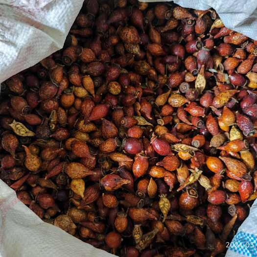 中药材金樱子 、糖罐、泡酒材料 后期干果熟果，一手货源