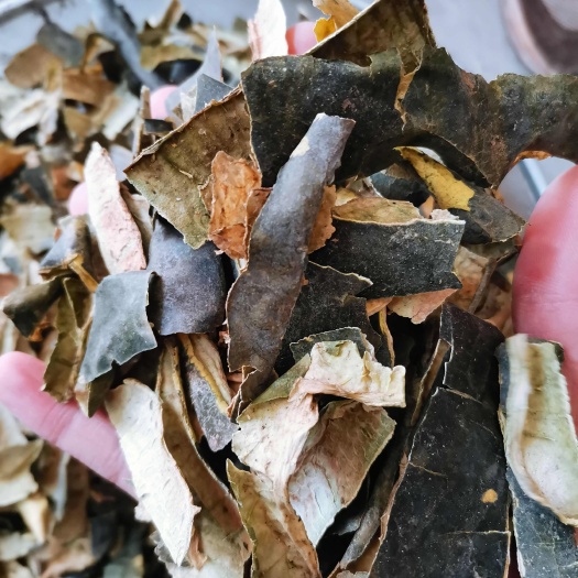 冬瓜皮 正品冬瓜皮【假一赔十】