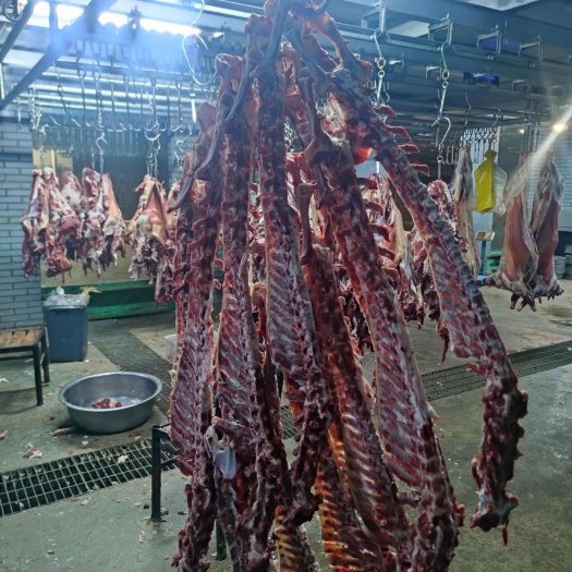 子洲县山羊剔骨纯肉