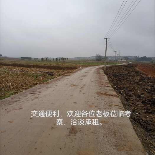 来宾旱地租赁
