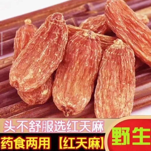 亳州天麻【红天麻】云南丽江无硫红天麻 规划齐全 现货批发