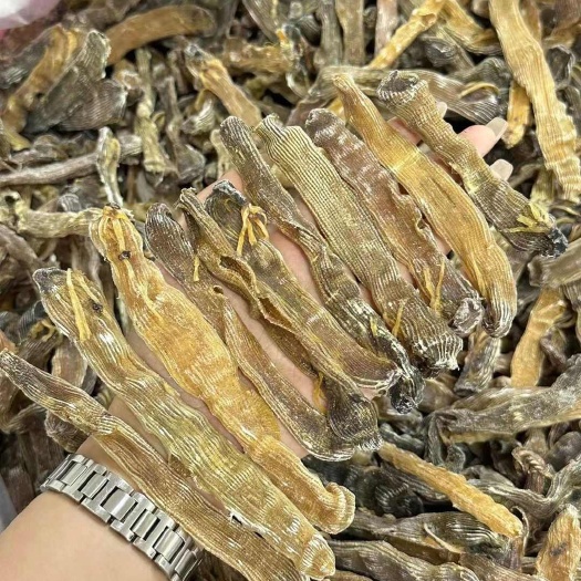 沙虫干纯淡干印尼原色沙虫干产地货