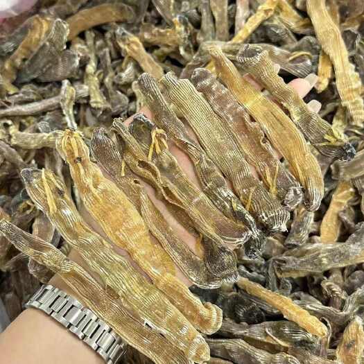 广州沙虫干纯淡干印尼原色沙虫干产地货