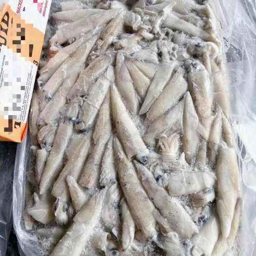 青岛海兔
