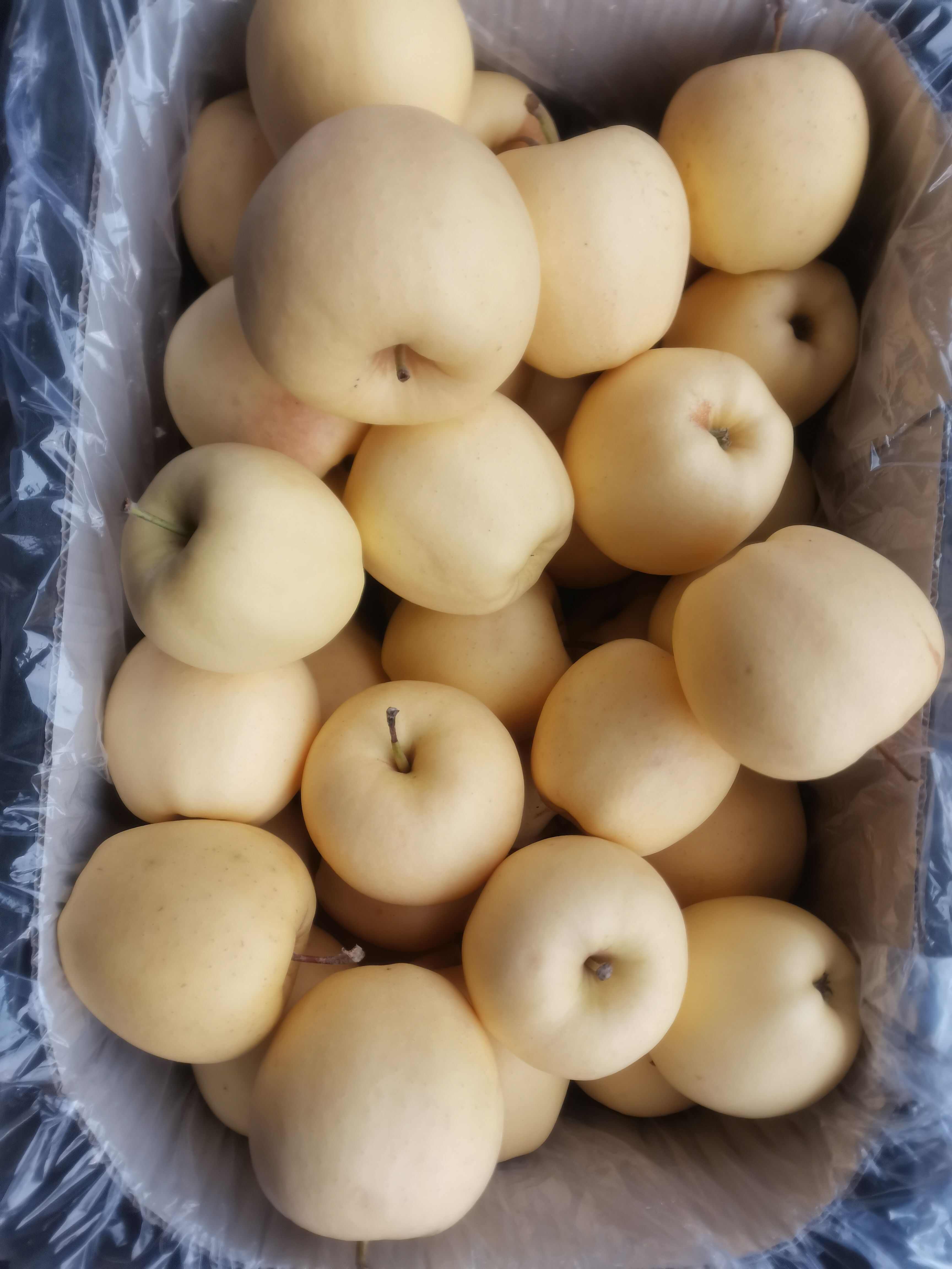 黄元帅