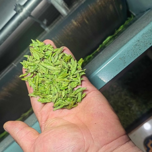  龙井茶