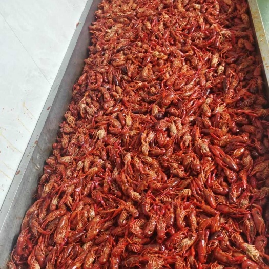 麻辣小龙虾，个大圆润，味道鲜美，开袋即食