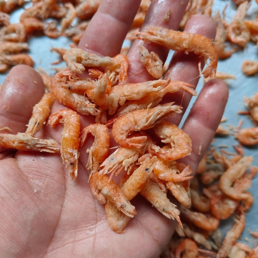滑县油炸河虾
