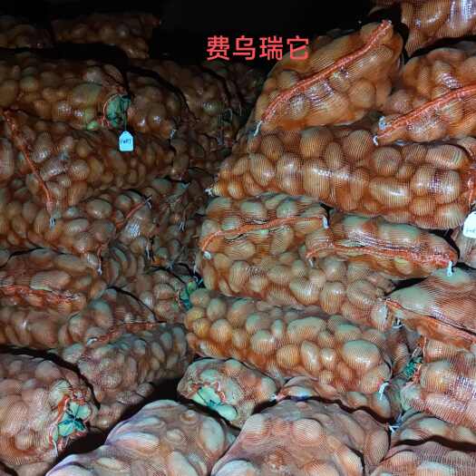 右玉县各品种土豆原种、一级种
