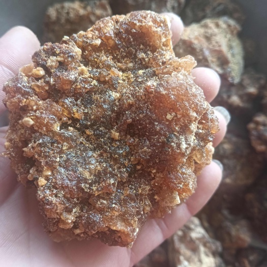 【鲁赣药材批发】没药 生没药 实物拍摄 现货供应