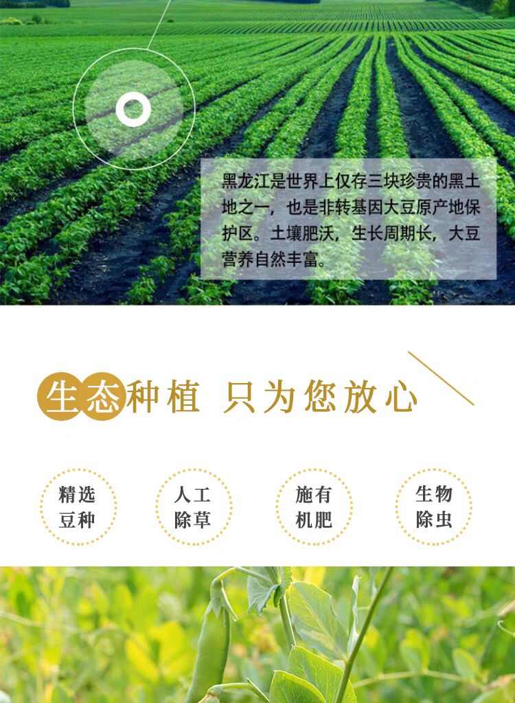 大荒荟萃一级大豆油5升 非转基因色拉油商用摆摊食用油家用