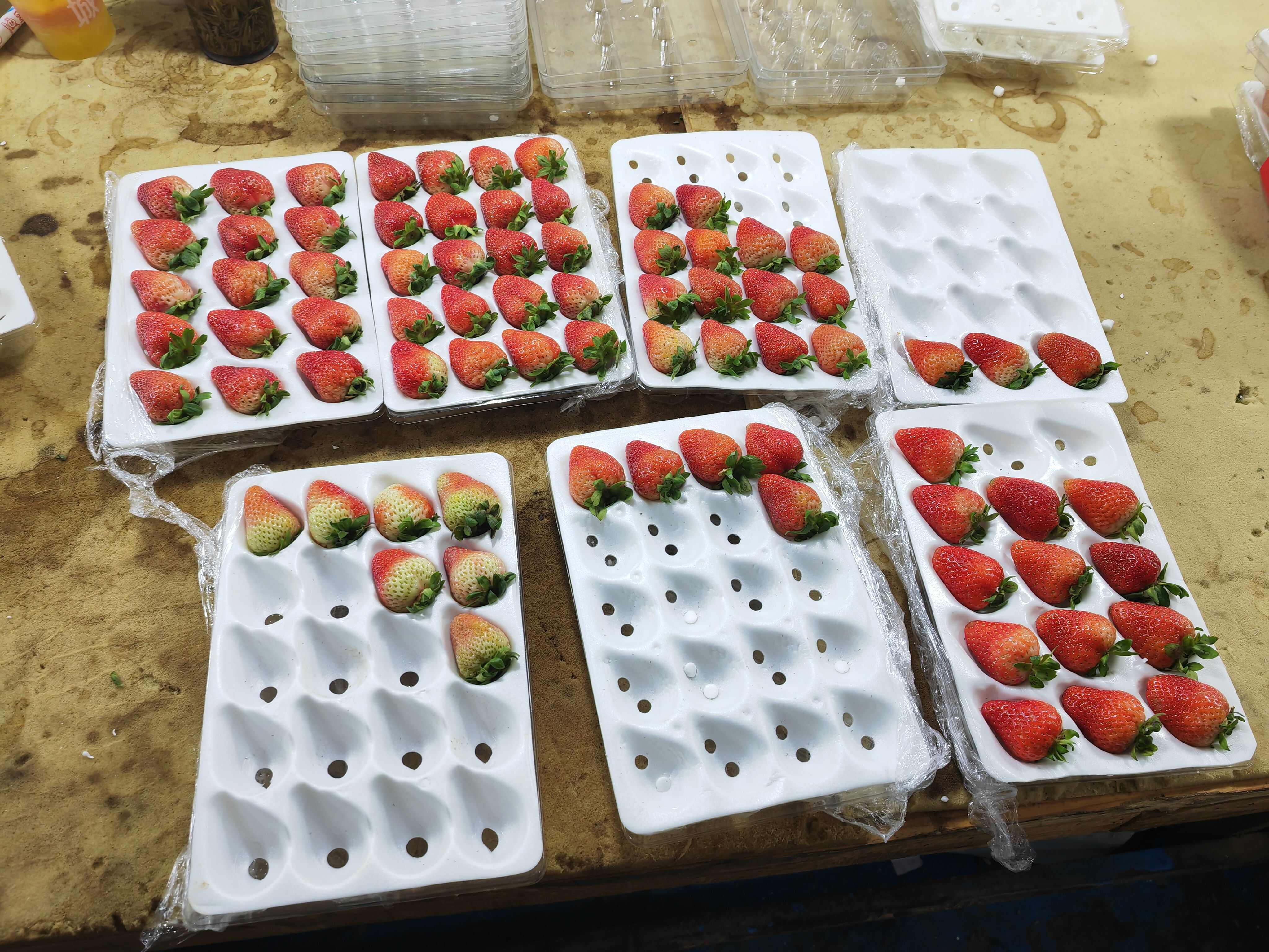 云南夏季草莓批发零售