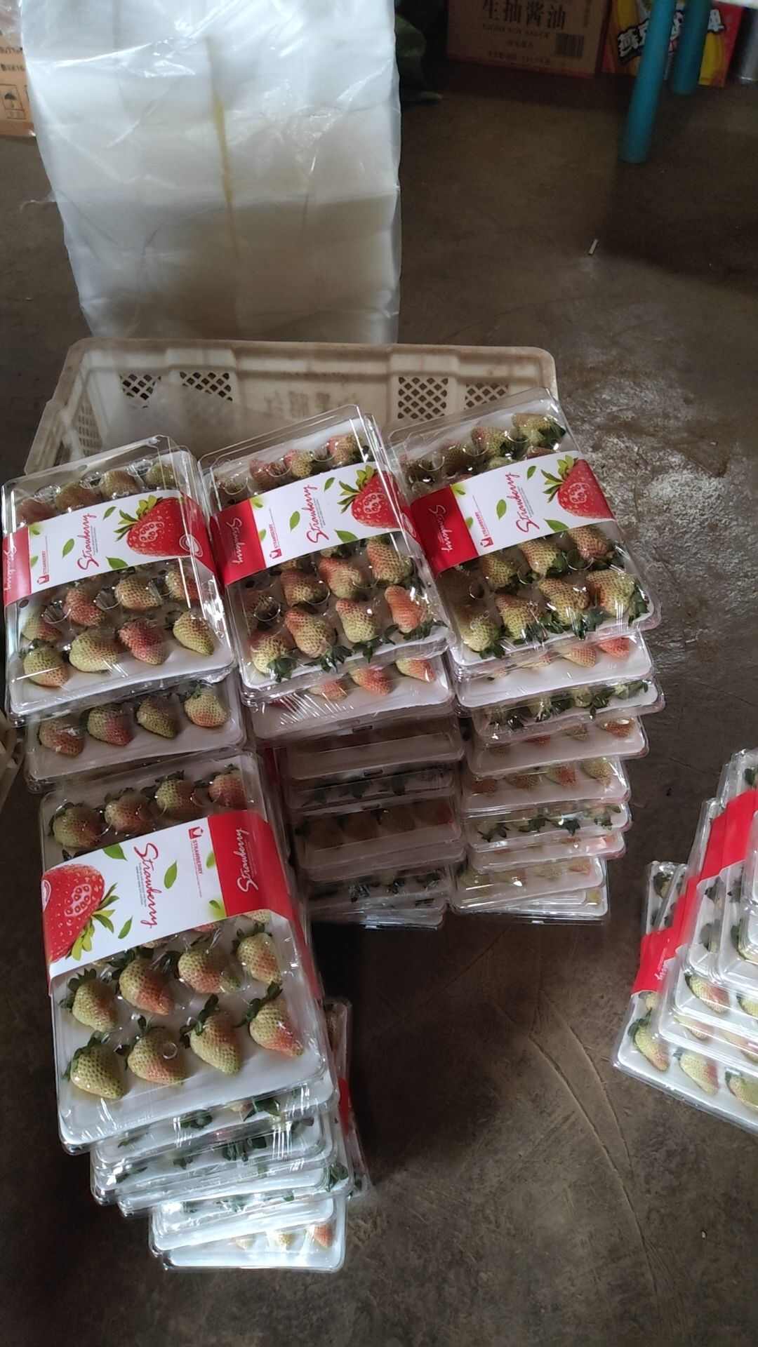 云南夏季草莓批发零售