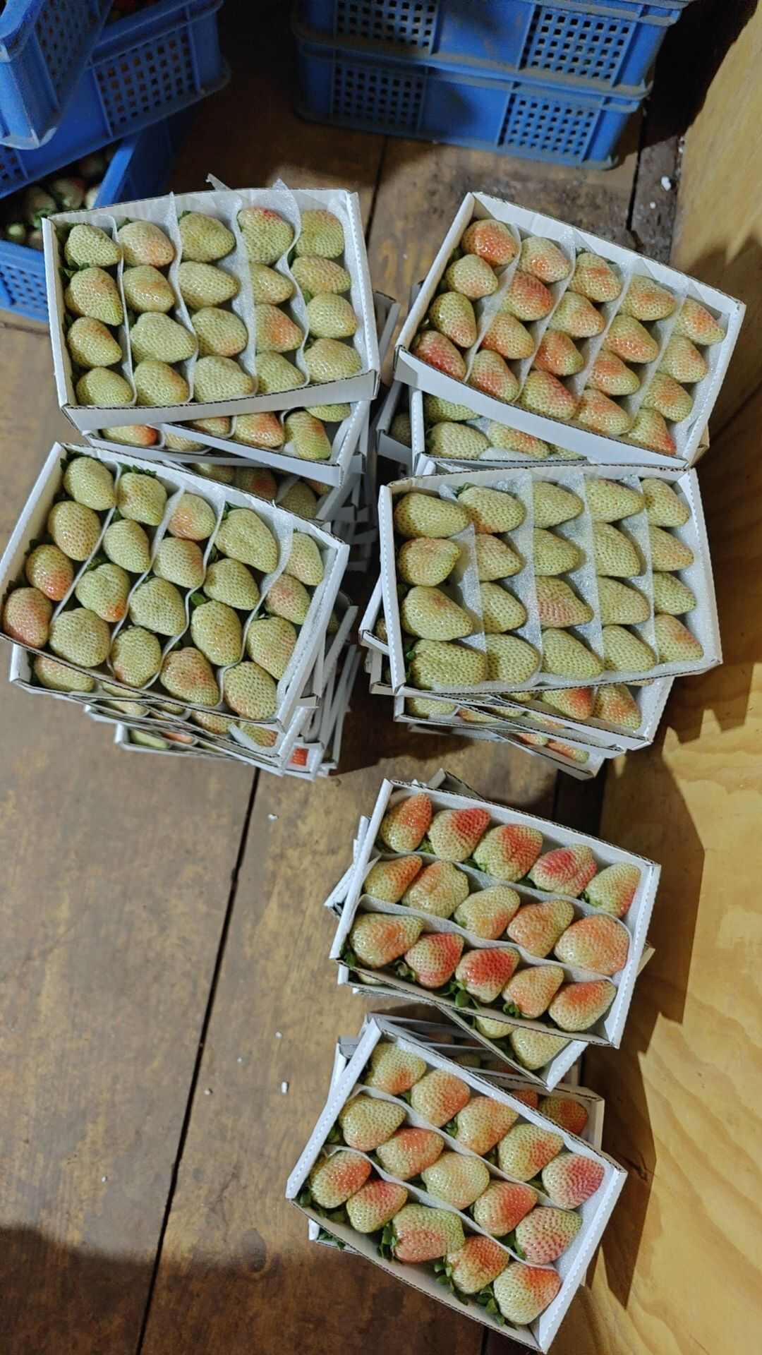 云南夏季草莓批发零售
