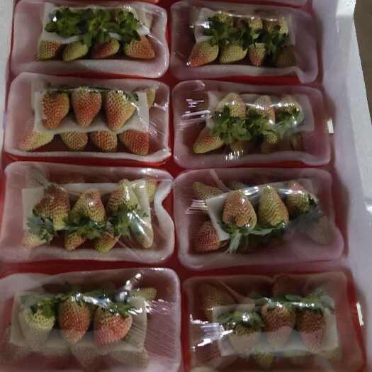 云南夏季草莓，支持零售批发，自己种植，保证质量，保证货量