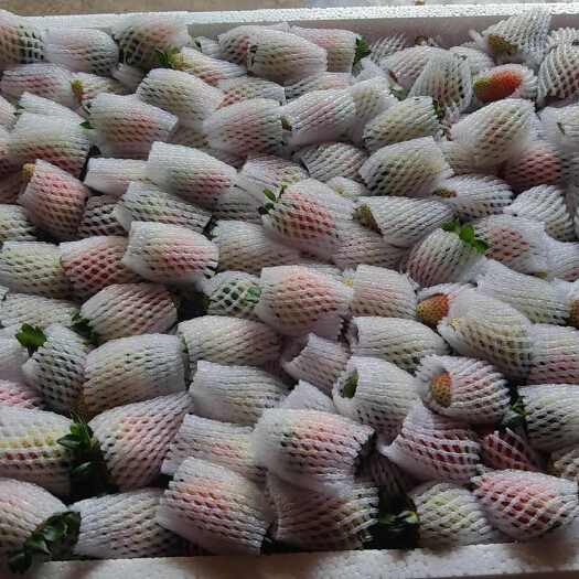 物美价廉，保质保量，全国可发货