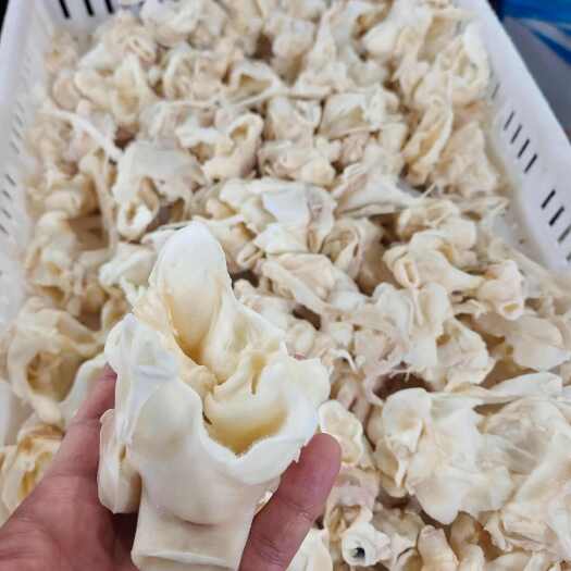 荣成市山东威海脆口鱿鱼脖，餐饮，食堂
