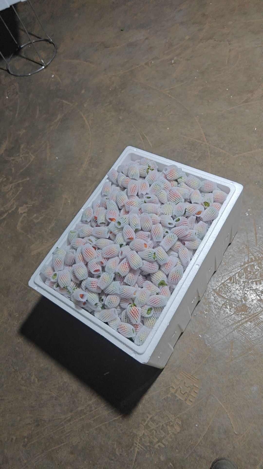 云南夏季草莓批发零售