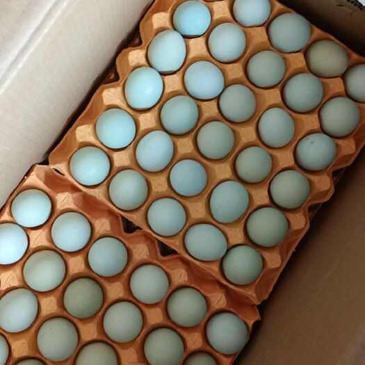 武汉精品土鸡蛋