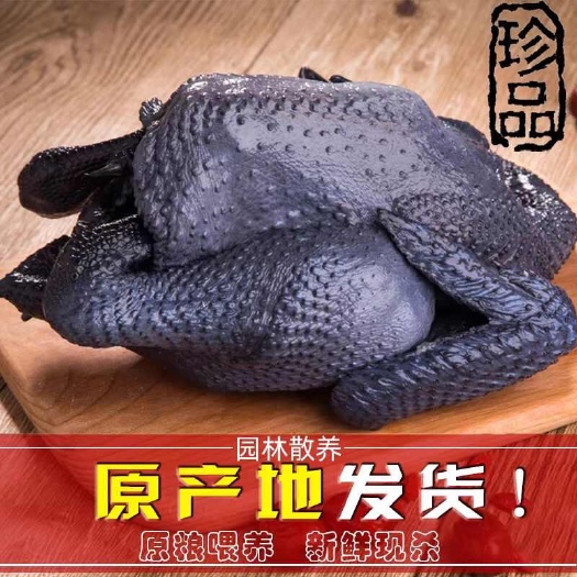 农家散养乌鸡乌骨鸡生鲜整只去内脏新鲜现杀月子鸡乌鸡
