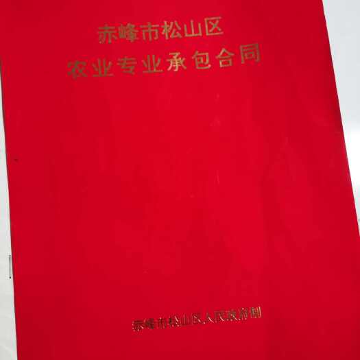 自家荒山，林地一次性出售转让，占地300亩，有林权证、
