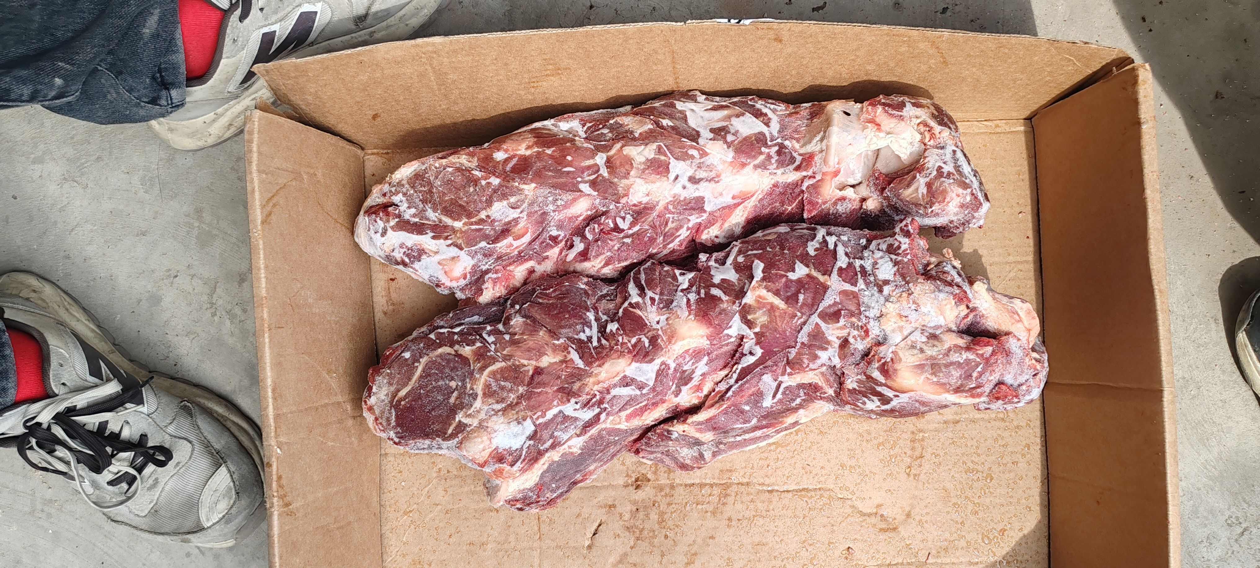 满肉牛脖骨