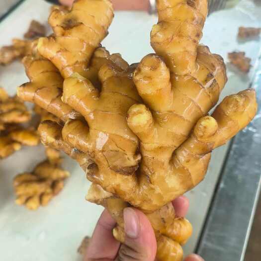 惠水县贵州二黄姜      欢迎各位老板联系，订购