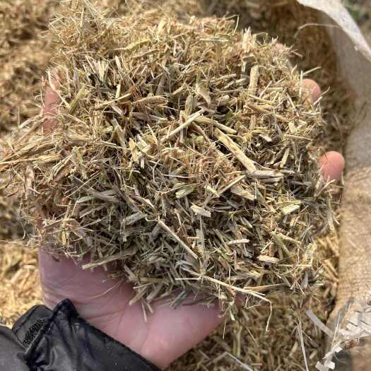 正阳县2025新大豆秸秆、蛋白含量、营养价值高于稻草、麦草