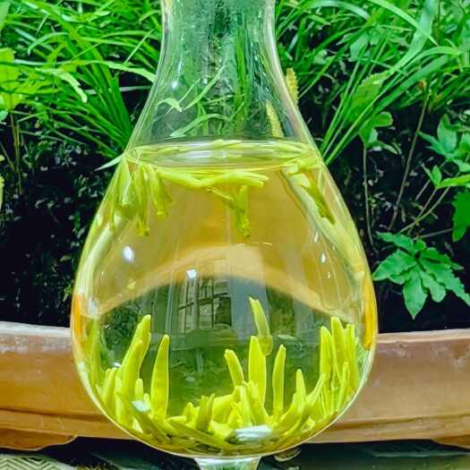  龙顶茶
