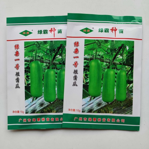 沭阳县绿霸绿杂一号短蒲瓜种子早熟翠绿色短瓠瓜菜葫芦瓜种籽高产