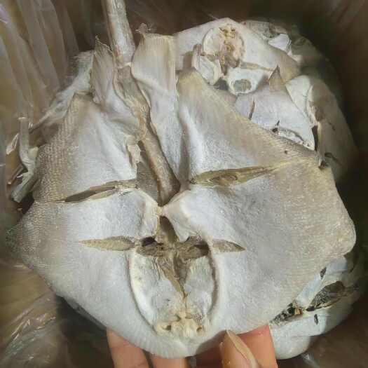 北海老板鱼干