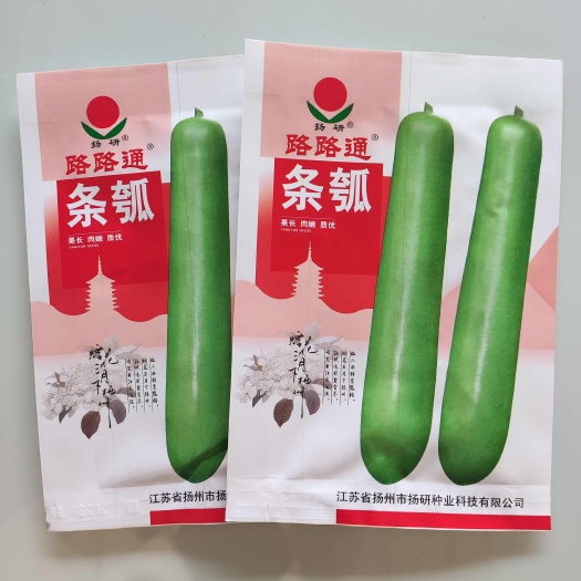 沭阳县早熟长瓠瓜种子春秋季瓠瓜籽蒲瓜菜葫芦籽庭院爬藤菜种子蔬菜种孑