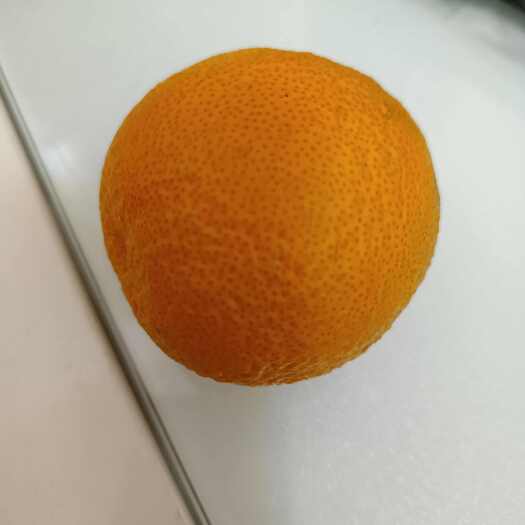 汉源县黄果柑  柑橘
