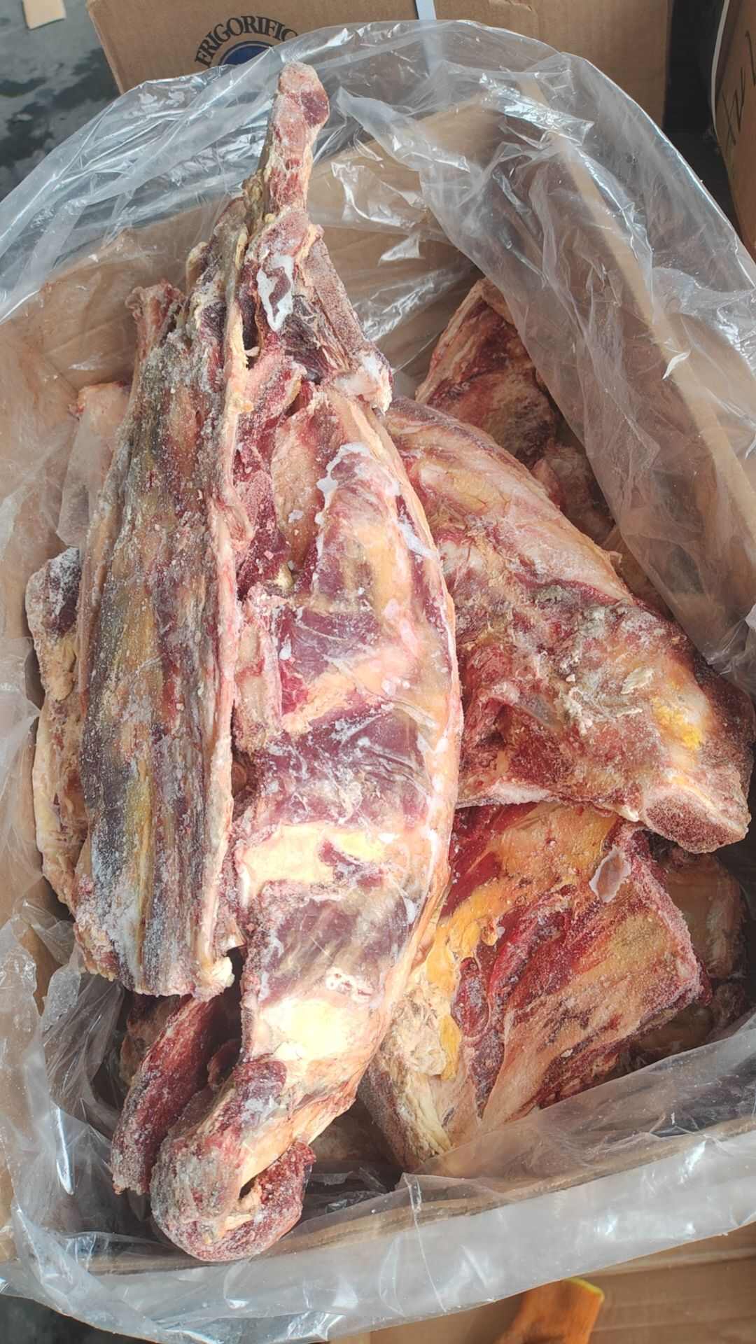 武汉黄油燕子骨现货