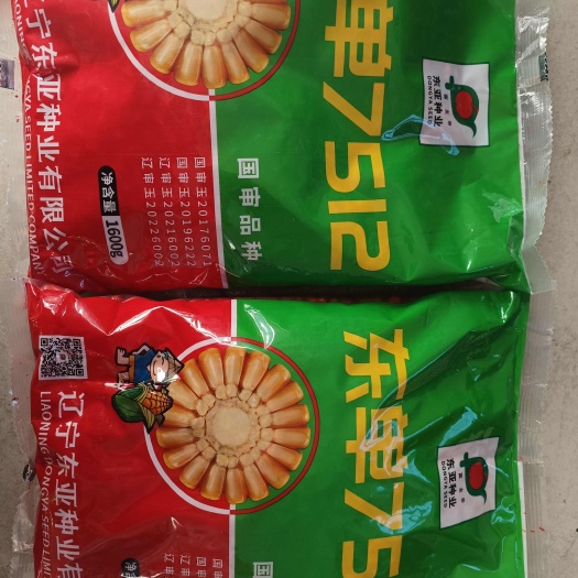 济南双国审玉米种子 东单7512玉米种子 红轴双棒抗病