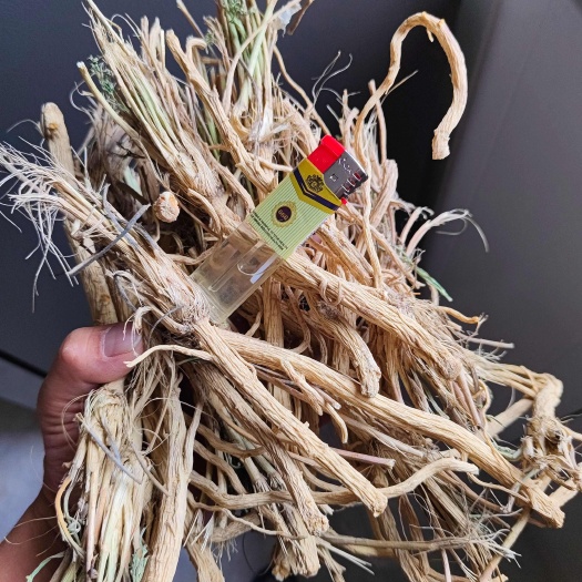 喀什市新疆防风（干货）大量现货供应需要的联系！