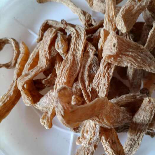  红天麻