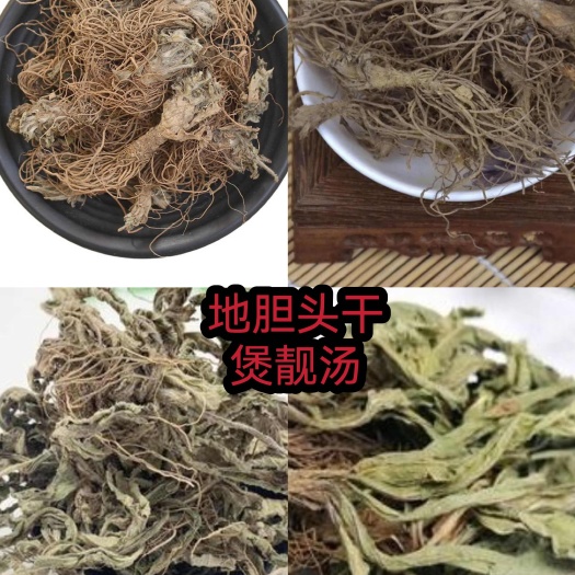 灵山县地胆草