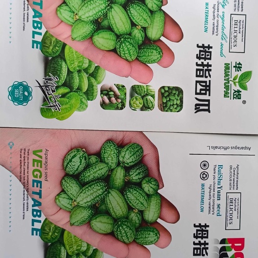 济南拇指西瓜种子，袋装拇指西瓜种子